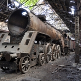 Photo Stephanie Avery